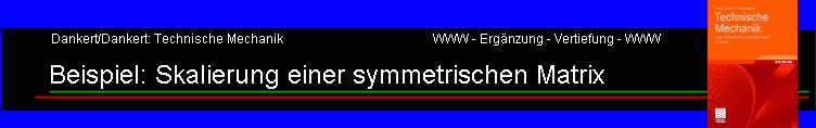 Beispiel: Skalierung einer symmetrischen Matrix