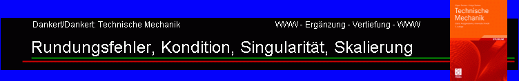 Rundungsfehler, Kondition, Singularitt, Skalierung