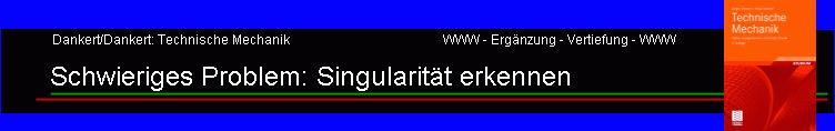 Schwieriges Problem: Singularitt erkennen