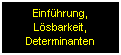 Zur Startseite "Einfhrung, Lsbarkeit, Determinanten"