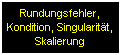 Zur Startseite "Rundungsfehler, Kondition, Singularitt, Skalierung"